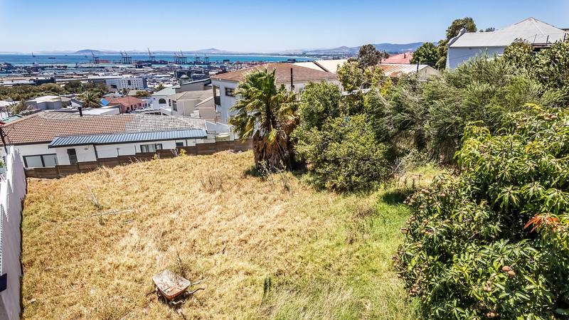 0 Bedroom Property for Sale in Walmer Estate Western Cape